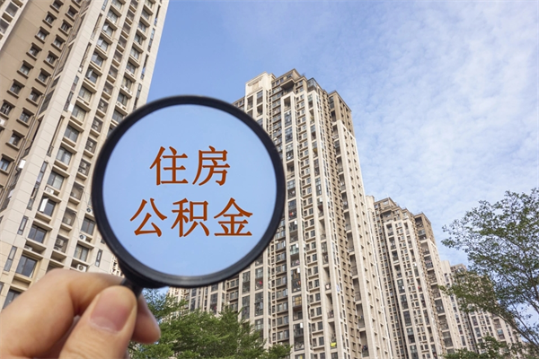 大庆离职多久可以取住房公积金(离职多久后能取公积金) 大庆离职多久可以取住房公积金(离职多久后能取公积金)
